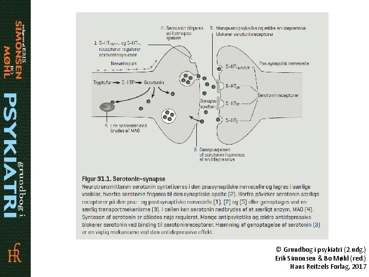 © Grundbog i psykiatri (2. udg. ) Erik Simonsen & Bo Møhl (red. )