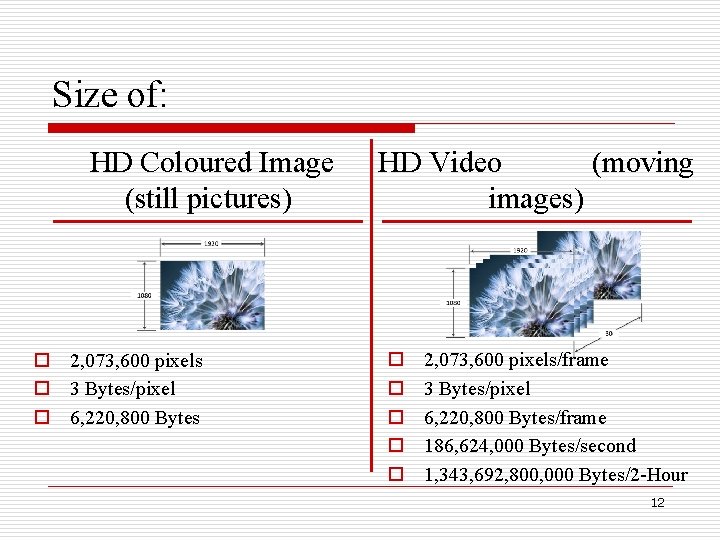 Size of: HD Coloured Image (still pictures) o 2, 073, 600 pixels o 3