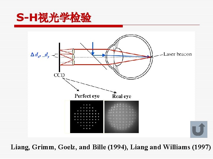 S-H视光学检验 Liang, Grimm, Goelz, and Bille (1994), Liang and Williams (1997) 