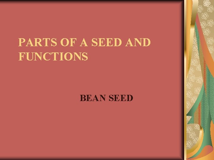 PARTS OF A SEED AND FUNCTIONS BEAN SEED 