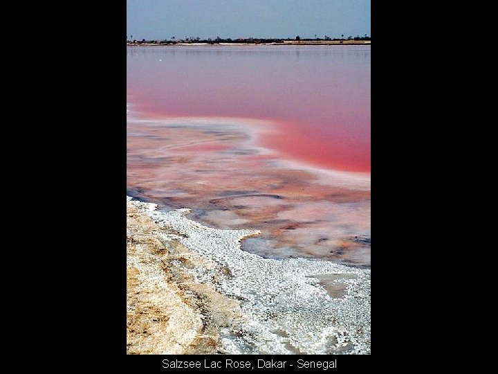 Salzsee Lac Rose, Dakar - Senegal 