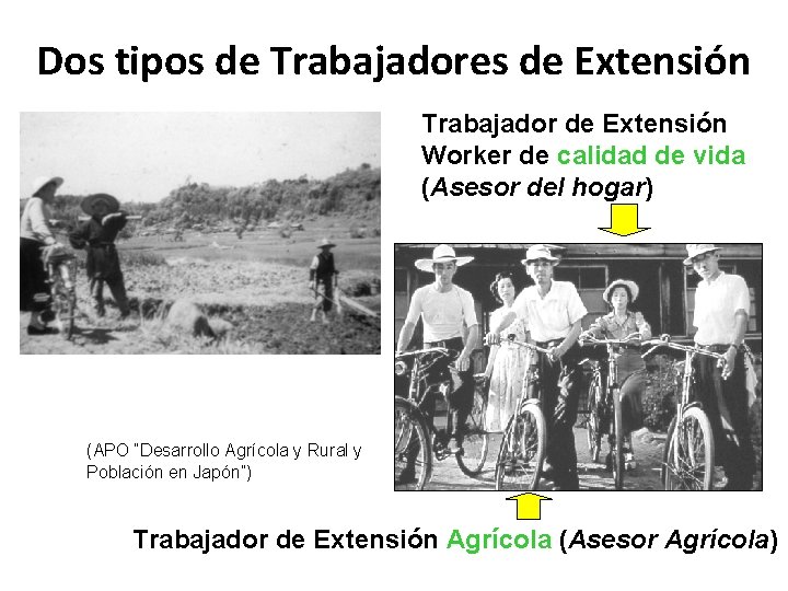 Dos tipos de Trabajadores de Extensión Trabajador de Extensión Worker de calidad de vida