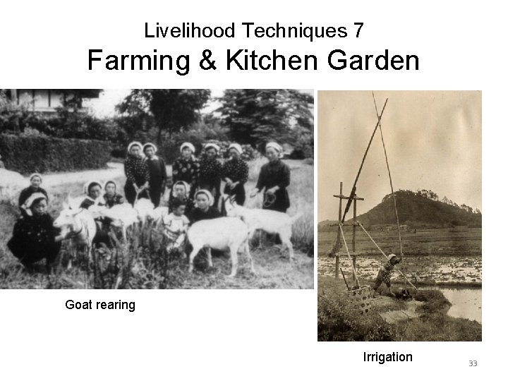 Livelihood Techniques 7 Farming & Kitchen Garden Goat rearing Irrigation 33 