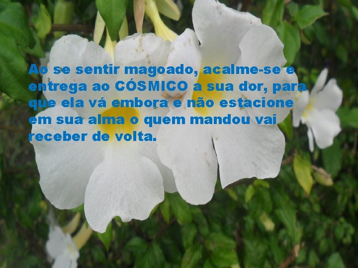 Ao se sentir magoado, acalme-se e entrega ao CÓSMICO a sua dor, para que