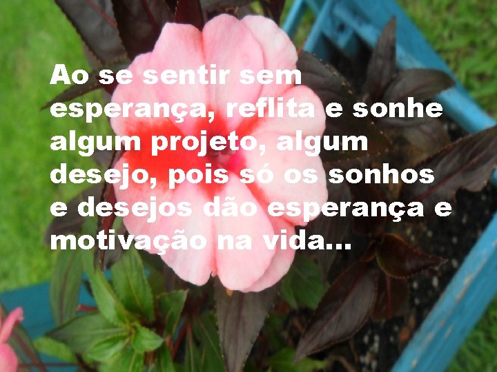 Ao se sentir sem esperança, reflita e sonhe algum projeto, algum desejo, pois só