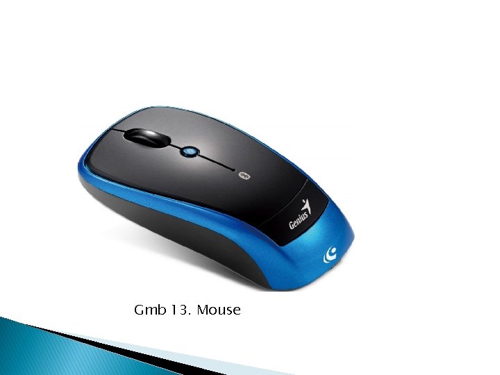 Gmb 13. Mouse 