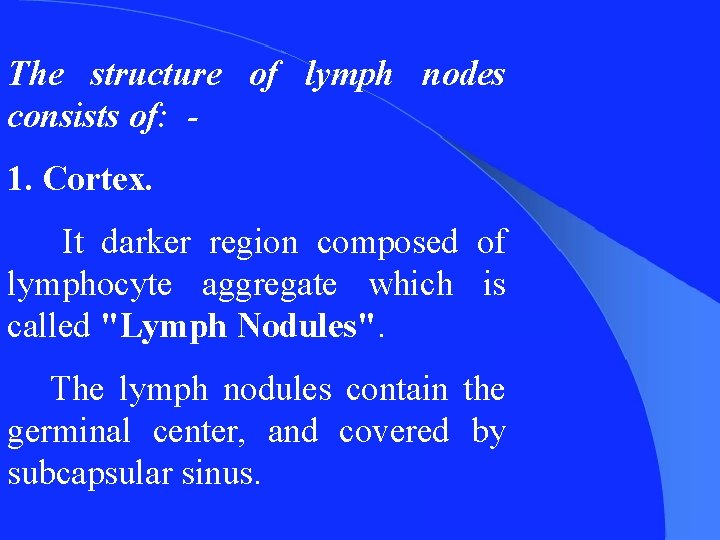 The structure of lymph nodes consists of: 1. Cortex. It darker region composed of