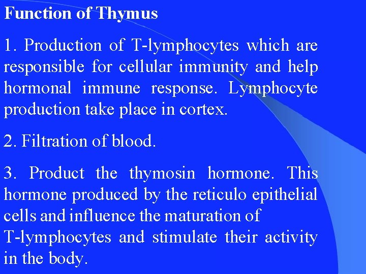 Function of Thymus 1. Production of T-lymphocytes which are responsible for cellular immunity and