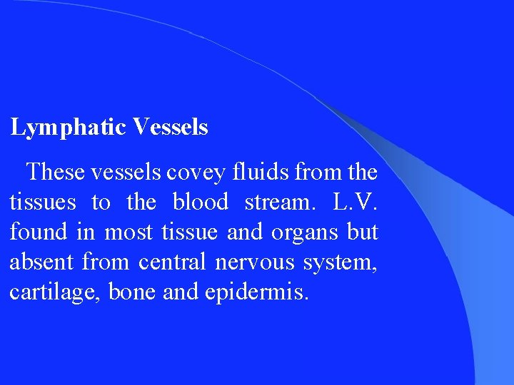 Lymphatic Vessels These vessels covey fluids from the tissues to the blood stream. L.