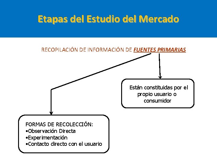 Etapas del Estudio del Mercado RECOPILACIÓN DE INFORMACIÓN DE FUENTES PRIMARIAS Están constituidas por Etapas del Estudio del Mercado RECOPILACIÓN DE INFORMACIÓN DE FUENTES PRIMARIAS Están constituidas por