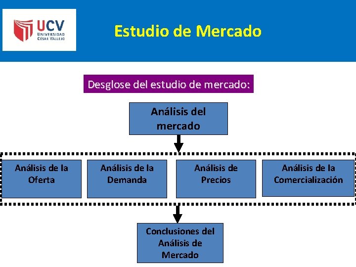 Estudio de Mercado Desglose del estudio de mercado: Análisis del mercado Análisis de la Estudio de Mercado Desglose del estudio de mercado: Análisis del mercado Análisis de la