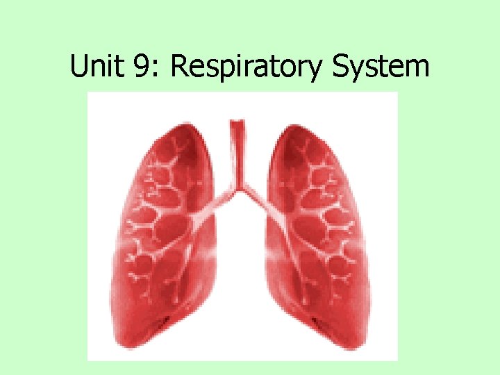 Unit 9: Respiratory System 