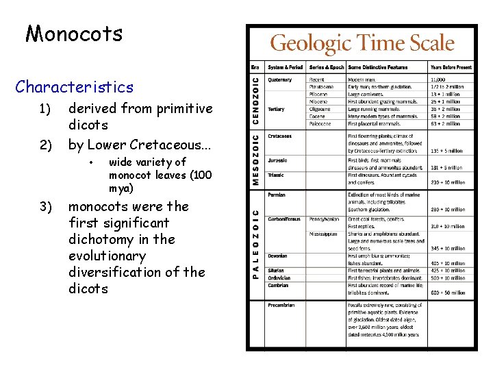 Monocots Characteristics 1) 2) derived from primitive dicots by Lower Cretaceous. . . •