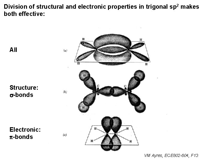 Division of structural and electronic properties in trigonal sp 2 makes both effective: All