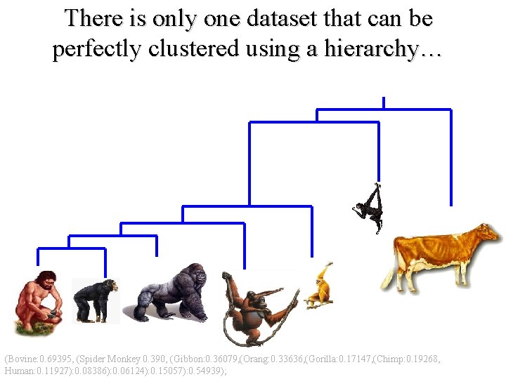 There is only one dataset that can be perfectly clustered using a hierarchy… (Bovine: