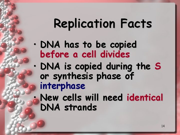 Replication Facts • DNA has to be copied before a cell divides • DNA