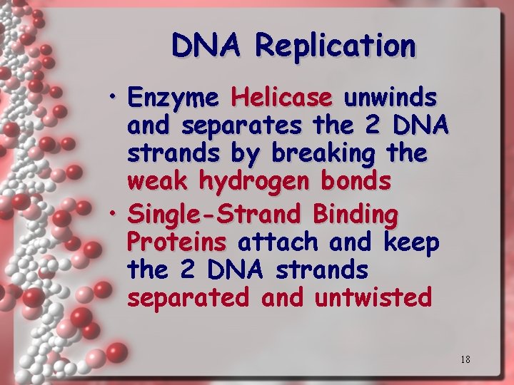 DNA Replication • Enzyme Helicase unwinds and separates the 2 DNA strands by breaking