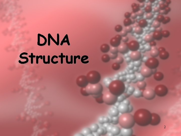 DNA Structure 2 