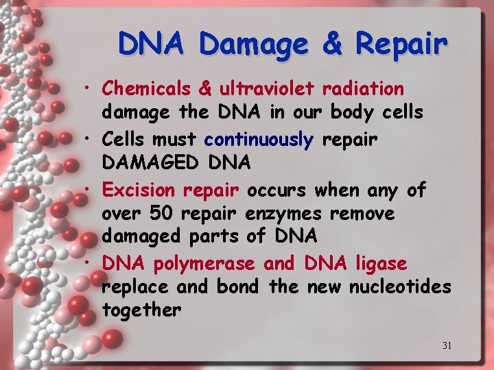 DNA Damage & Repair • Chemicals & ultraviolet radiation damage the DNA in our