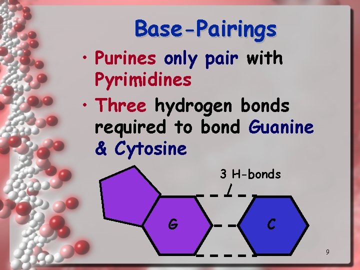 Base-Pairings • Purines only pair with Pyrimidines • Three hydrogen bonds required to bond