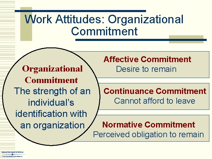 Work Attitudes: Organizational Commitment The strength of an individual’s identification with an organization Affective