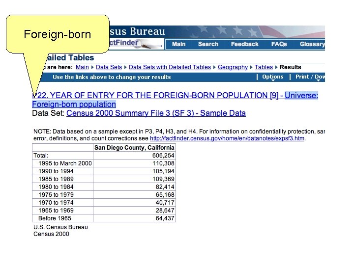 Foreign-born 