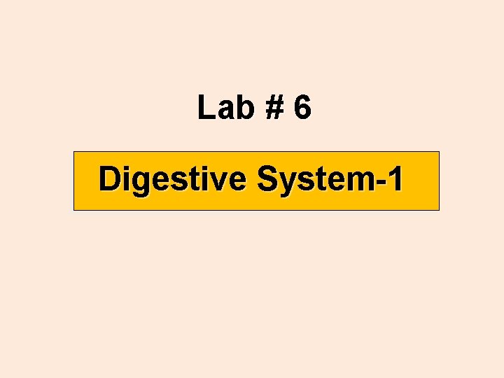 Lab # 6 Digestive System-1 