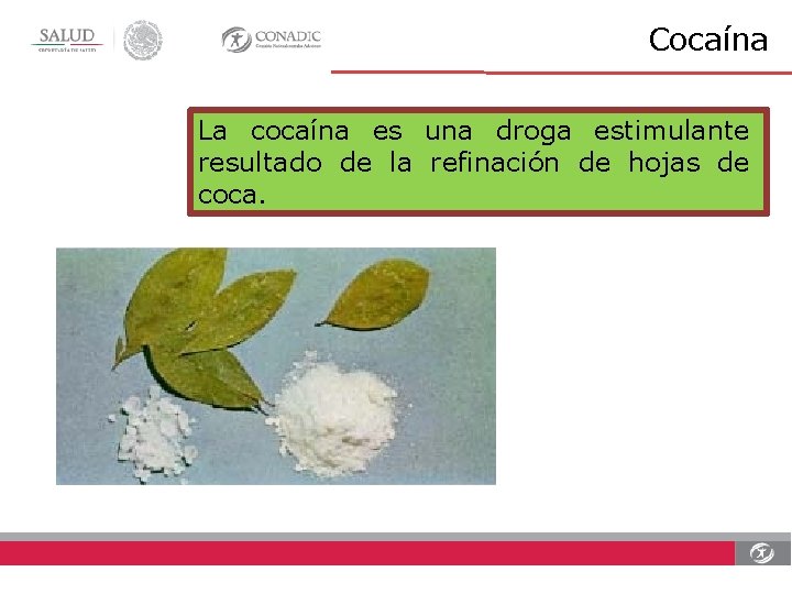 Cocaína La cocaína es una droga estimulante resultado de la refinación de hojas de