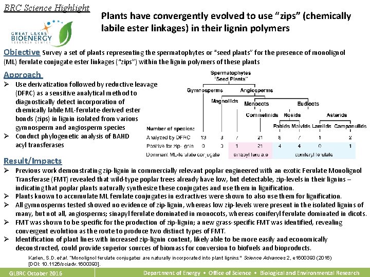 BRC Science Highlight Plants have convergently evolved to use “zips” (chemically labile ester linkages)