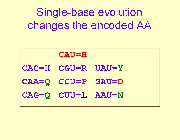 Single-base evolution changes the encoded AA CAU=H CAC=H CGU=R UAU=Y CAA=Q CCU=P GAU=D CAG=Q Single-base evolution changes the encoded AA CAU=H CAC=H CGU=R UAU=Y CAA=Q CCU=P GAU=D CAG=Q
