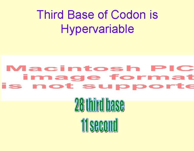 Third Base of Codon is Hypervariable Third Base of Codon is Hypervariable
