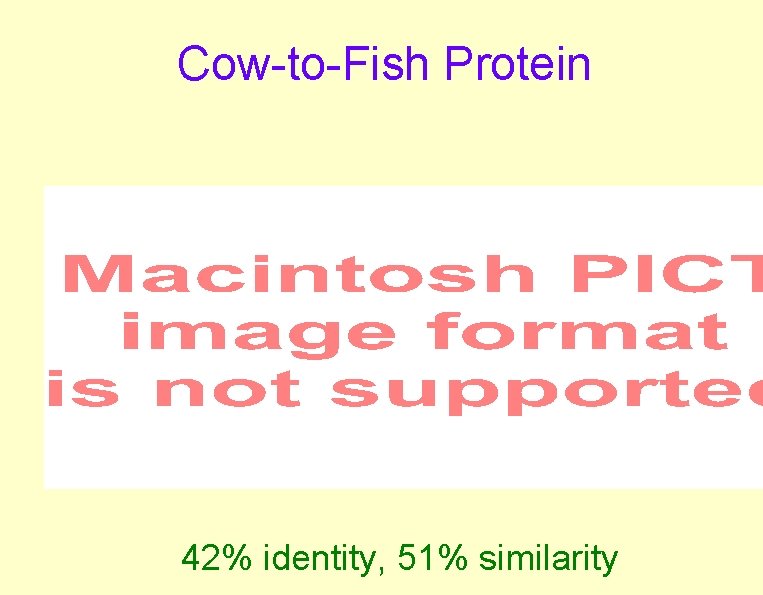 Cow-to-Fish Protein 42% identity, 51% similarity Cow-to-Fish Protein 42% identity, 51% similarity