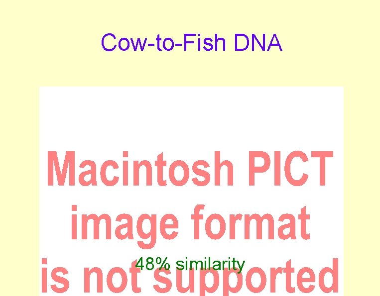 Cow-to-Fish DNA 48% similarity Cow-to-Fish DNA 48% similarity