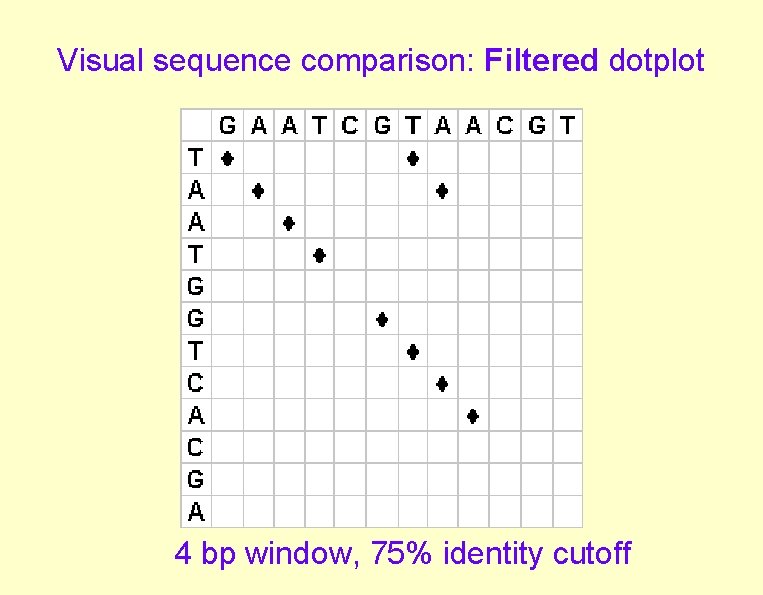 Visual sequence comparison: Filtered dotplot 4 bp window, 75% identity cutoff Visual sequence comparison: Filtered dotplot 4 bp window, 75% identity cutoff