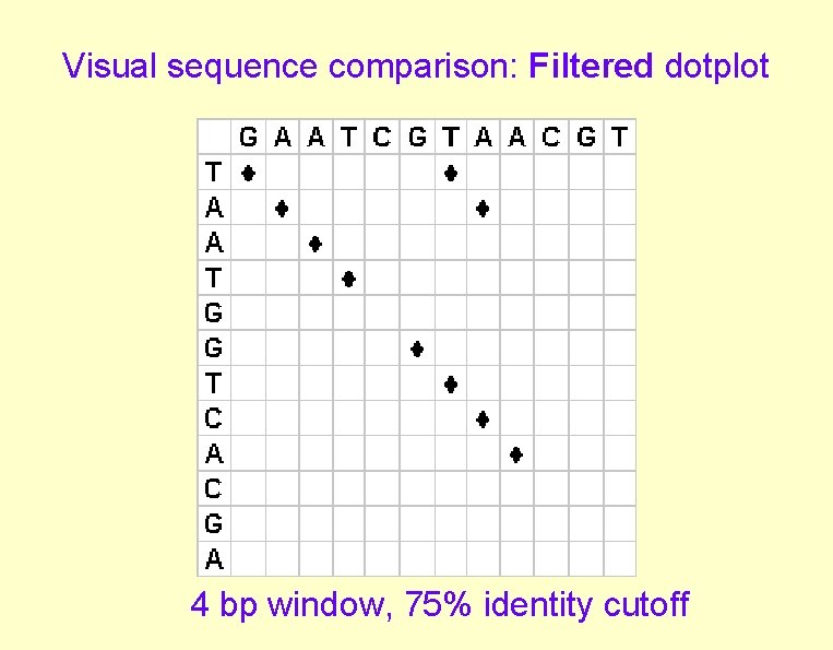 Visual sequence comparison: Filtered dotplot 4 bp window, 75% identity cutoff 