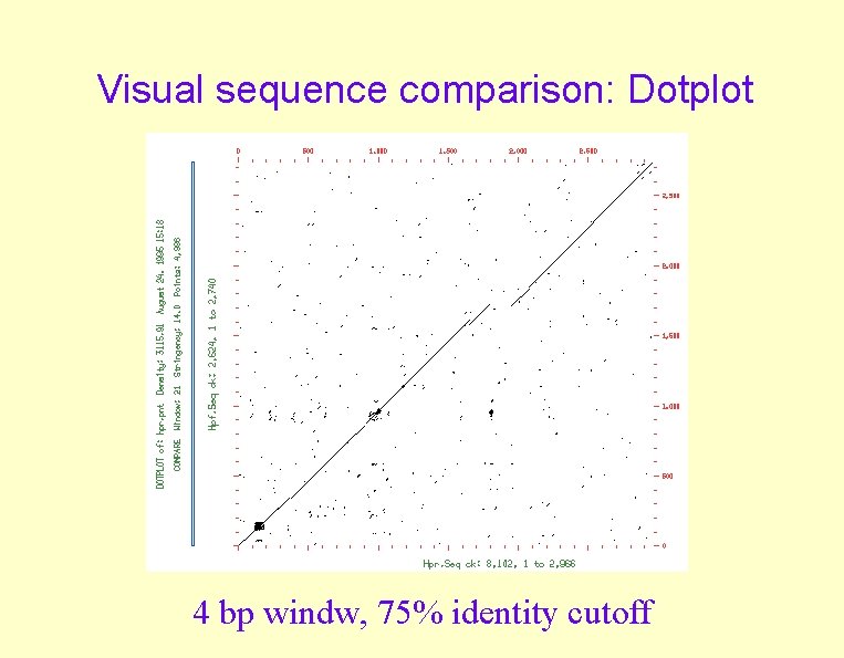 Visual sequence comparison: Dotplot 4 bp windw, 75% identity cutoff Visual sequence comparison: Dotplot 4 bp windw, 75% identity cutoff