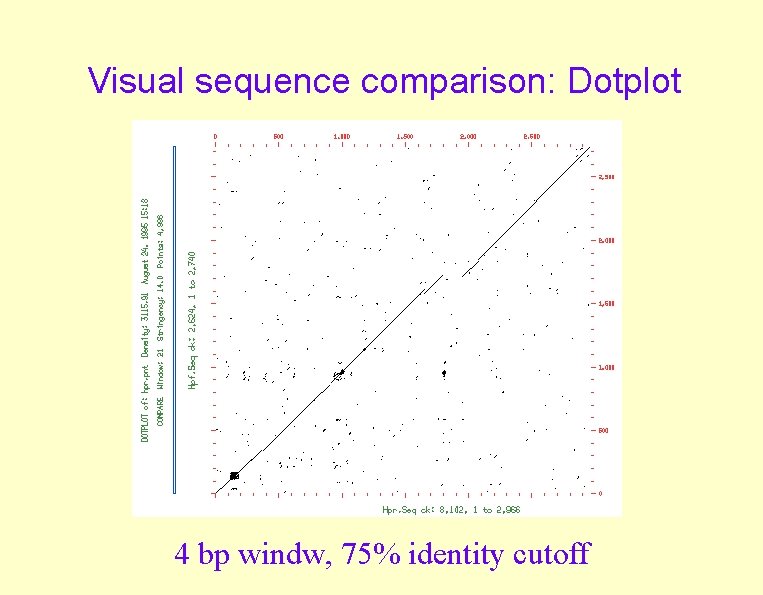 Visual sequence comparison: Dotplot 4 bp windw, 75% identity cutoff 