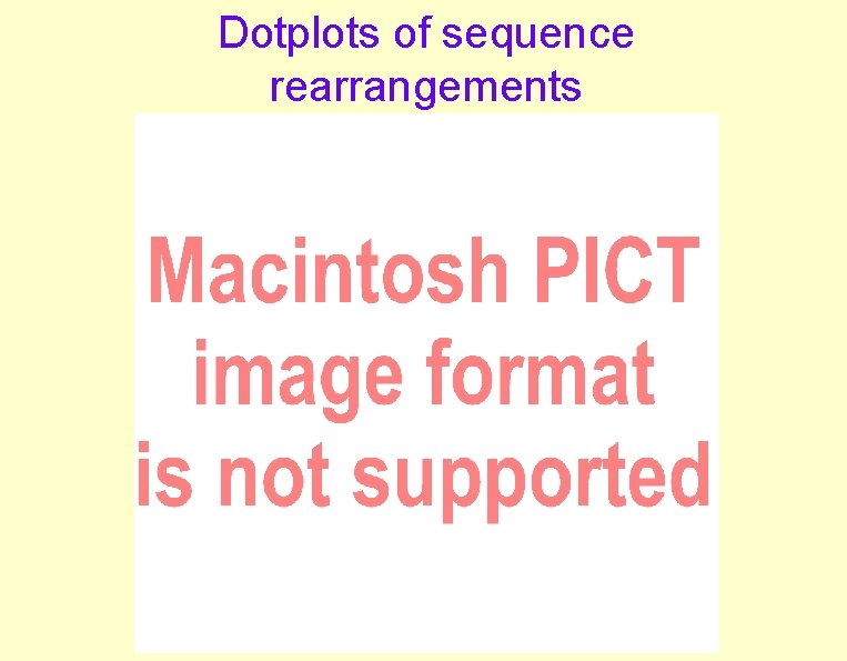 Dotplots of sequence rearrangements Dotplots of sequence rearrangements