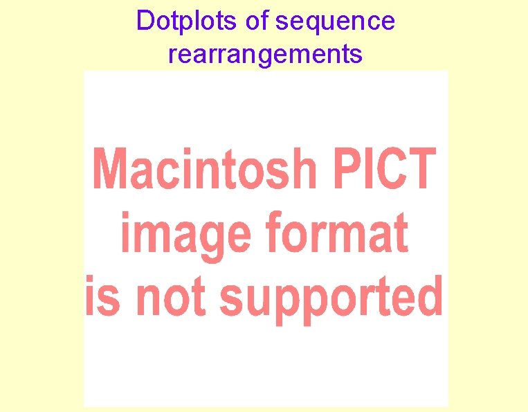 Dotplots of sequence rearrangements 