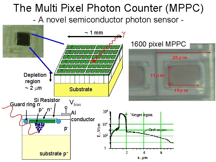 The Multi Pixel Photon Counter (MPPC) - A novel semiconductor photon sensor ~ 1