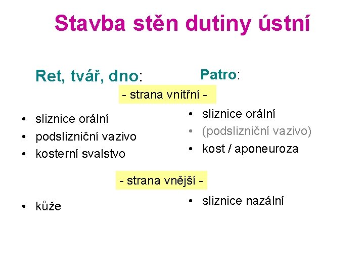 Stavba stěn dutiny ústní Ret, tvář, dno: Patro: - strana vnitřní - • sliznice