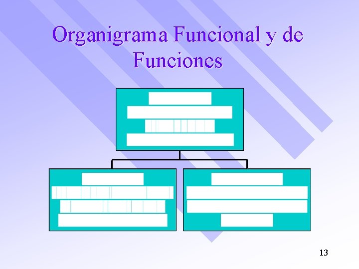 Organigrama Funcional y de Funciones 13 