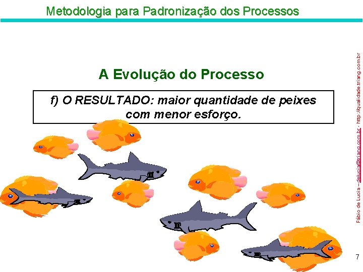 A Evolução do Processo f) O RESULTADO: maior quantidade de peixes com menor esforço.