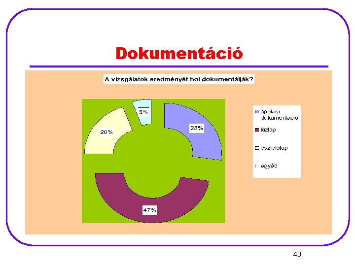 Dokumentáció 43 
