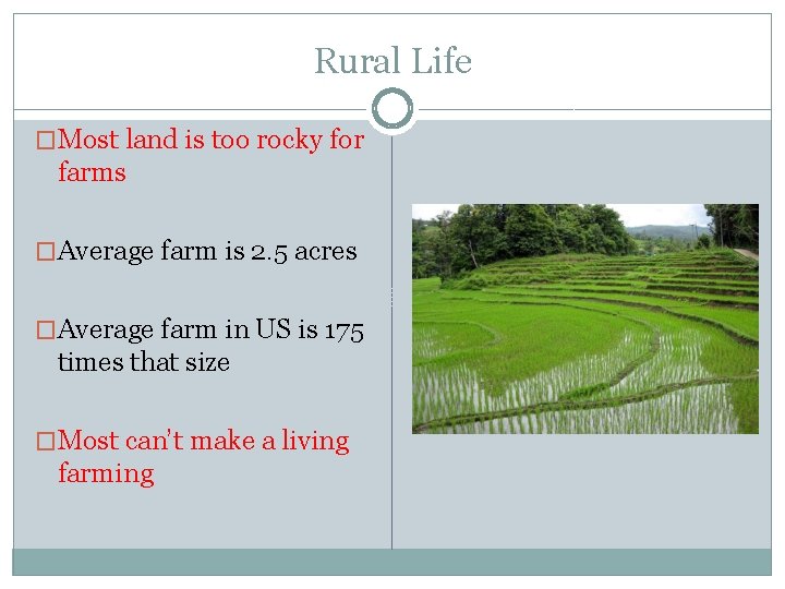 Rural Life �Most land is too rocky for farms �Average farm is 2. 5