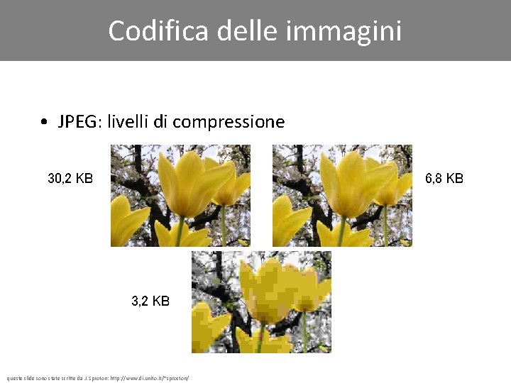 Codifica delle immagini • JPEG: livelli di compressione 30, 2 KB 6, 8 KB