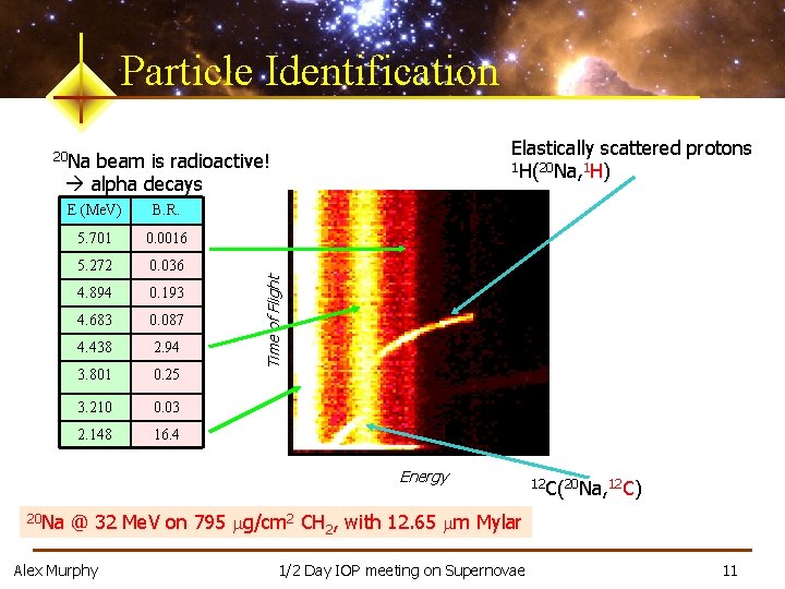 Particle Identification Elastically scattered protons 1 H(20 Na, 1 H) beam is radioactive! alpha