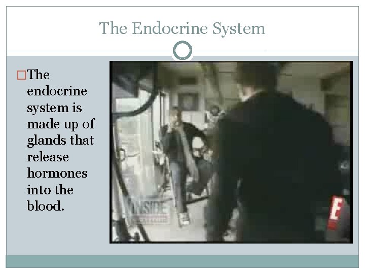 The Endocrine System �The endocrine system is made up of glands that release hormones