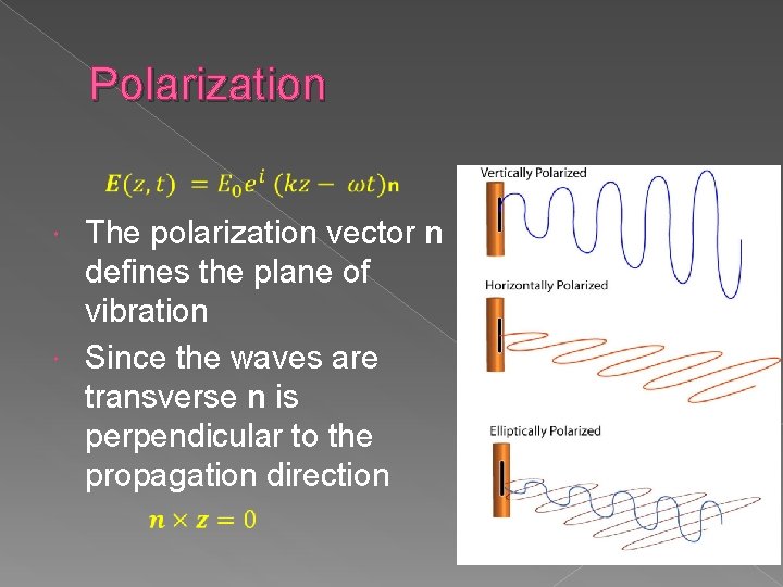Polarization The polarization vector n defines the plane of vibration Since the waves are Polarization The polarization vector n defines the plane of vibration Since the waves are