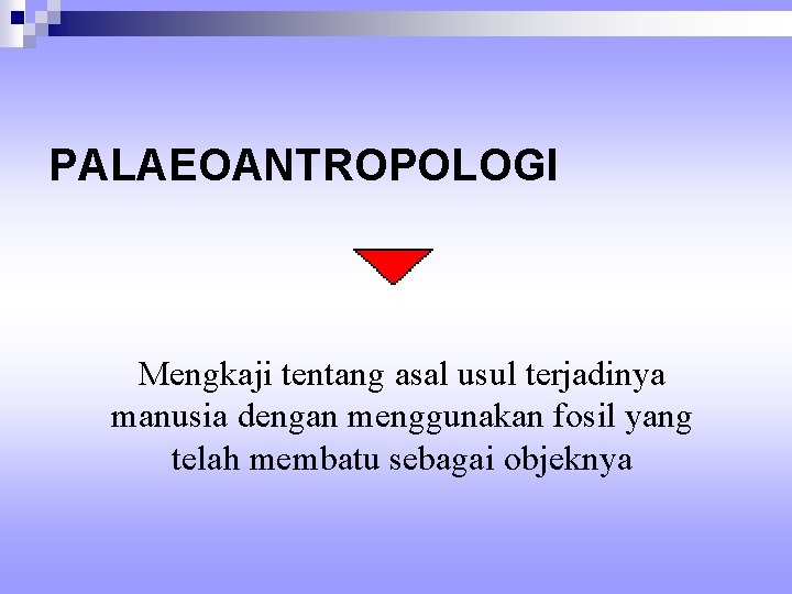 PALAEOANTROPOLOGI Mengkaji tentang asal usul terjadinya manusia dengan menggunakan fosil yang telah membatu sebagai
